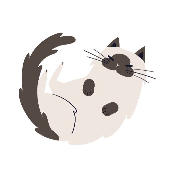 Compañía Felina